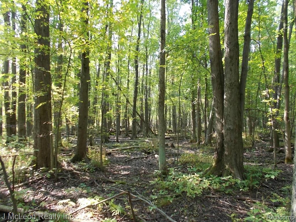 1805 Pierce Road Caro, MI 48723 - Photo 17 of 32