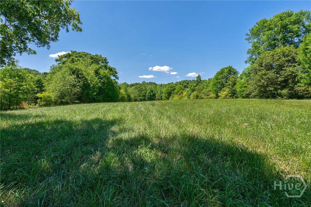 1221 Barber Creek Road Statham, GA 30666 - Photo 45 of 66 Gallery Image 45