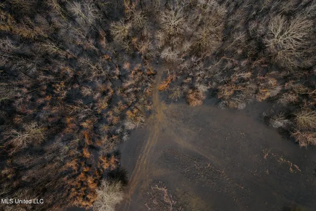 $1,400,000 | 660 East New Africa Road, Clarksdale, MS 38614