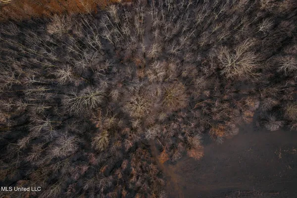 $1,400,000 | 660 East New Africa Road, Clarksdale, MS 38614