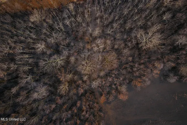 $1,400,000 | 660 East New Africa Road, Clarksdale, MS 38614