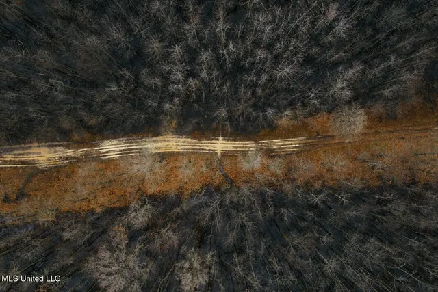 $1,400,000 | 660 East New Africa Road, Clarksdale, MS 38614