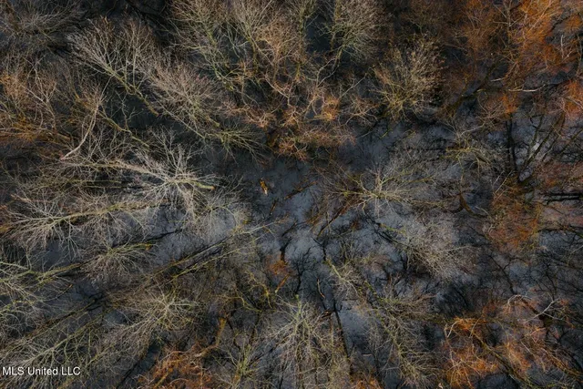 $1,400,000 | 660 East New Africa Road, Clarksdale, MS 38614