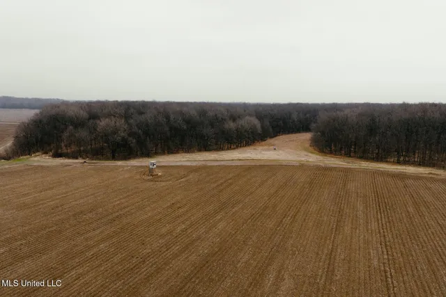 $1,400,000 | 660 East New Africa Road, Clarksdale, MS 38614