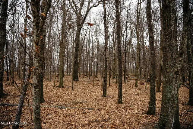 $1,400,000 | 660 East New Africa Road, Clarksdale, MS 38614