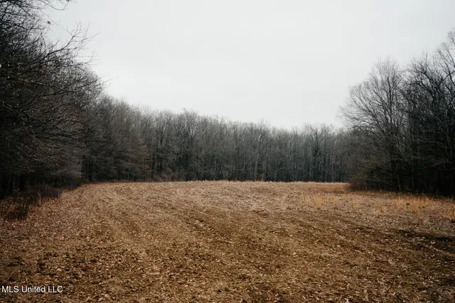 $1,400,000 | 660 East New Africa Road, Clarksdale, MS 38614