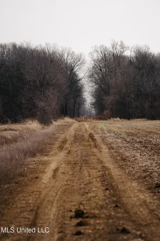 $1,400,000 | 660 East New Africa Road, Clarksdale, MS 38614