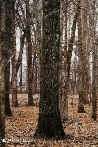 $1,400,000 | 660 East New Africa Road, Clarksdale, MS 38614