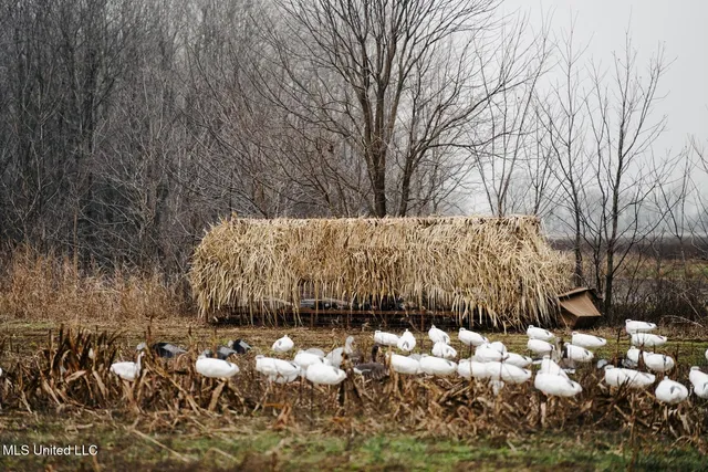 $1,400,000 | 660 East New Africa Road, Clarksdale, MS 38614