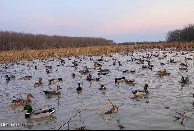 $1,400,000 | 660 East New Africa Road, Clarksdale, MS 38614