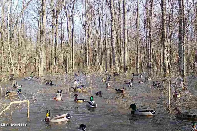 $1,400,000 | 660 East New Africa Road, Clarksdale, MS 38614