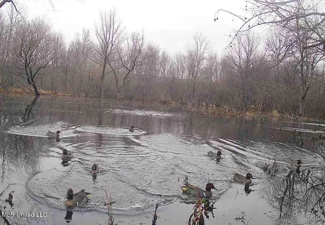 $1,400,000 | 660 East New Africa Road, Clarksdale, MS 38614