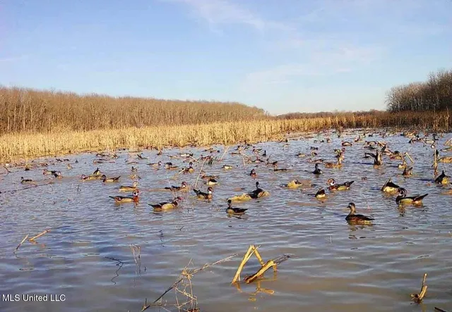 $1,400,000 | 660 East New Africa Road, Clarksdale, MS 38614