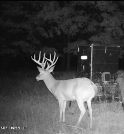 $1,400,000 | 660 East New Africa Road, Clarksdale, MS 38614