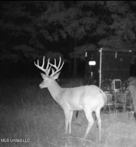 $1,400,000 | 660 East New Africa Road, Clarksdale, MS 38614