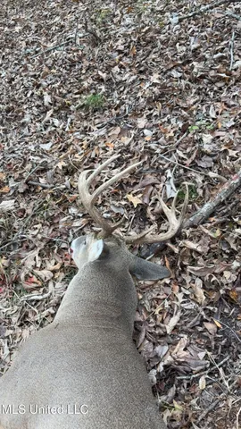 $1,400,000 | 660 East New Africa Road, Clarksdale, MS 38614