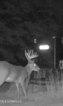 $1,400,000 | 660 East New Africa Road, Clarksdale, MS 38614