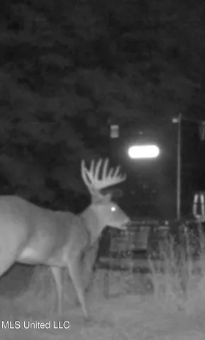 $1,400,000 | 660 East New Africa Road, Clarksdale, MS 38614