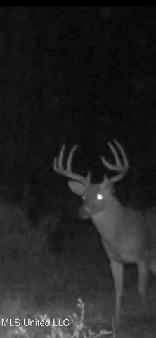 $1,400,000 | 660 East New Africa Road, Clarksdale, MS 38614