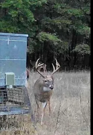 $1,400,000 | 660 East New Africa Road, Clarksdale, MS 38614