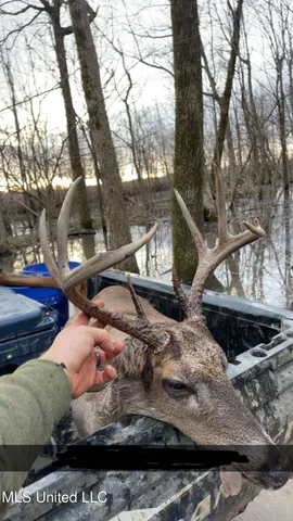 $1,400,000 | 660 East New Africa Road, Clarksdale, MS 38614