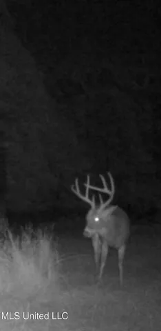 $1,400,000 | 660 East New Africa Road, Clarksdale, MS 38614