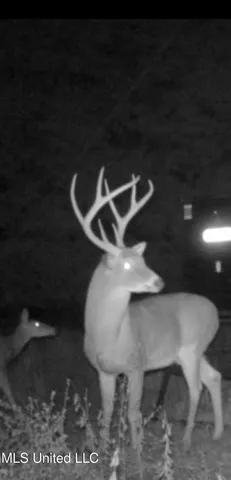 $1,400,000 | 660 East New Africa Road, Clarksdale, MS 38614