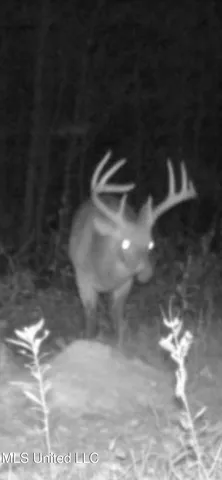 $1,400,000 | 660 East New Africa Road, Clarksdale, MS 38614