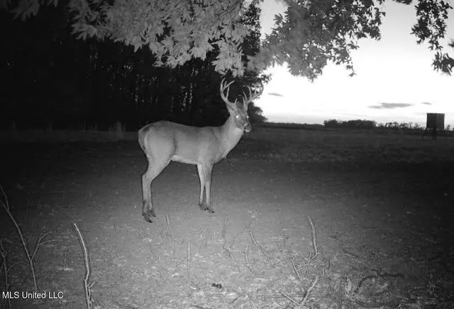 $1,400,000 | 660 East New Africa Road, Clarksdale, MS 38614