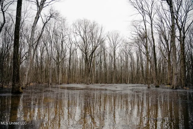 $1,400,000 | 660 East New Africa Road, Clarksdale, MS 38614