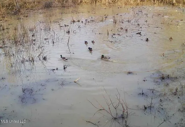 $1,400,000 | 660 East New Africa Road, Clarksdale, MS 38614