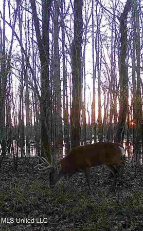 $1,400,000 | 660 East New Africa Road, Clarksdale, MS 38614