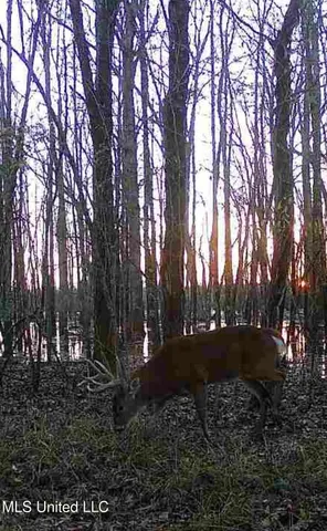 $1,400,000 | 660 East New Africa Road, Clarksdale, MS 38614