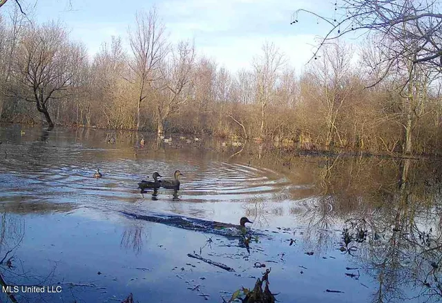 $1,400,000 | 660 East New Africa Road, Clarksdale, MS 38614