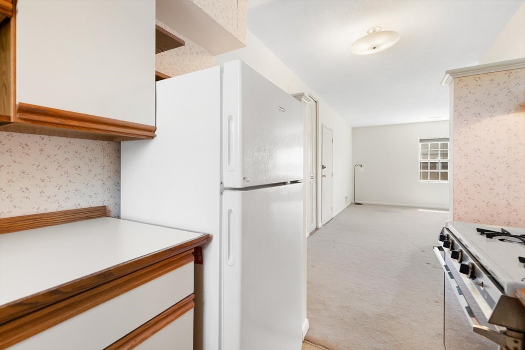 173 Lake Shore Road, Unit 3 Boston, MA 02135 - Photo 20 of 41 Gallery Image 20