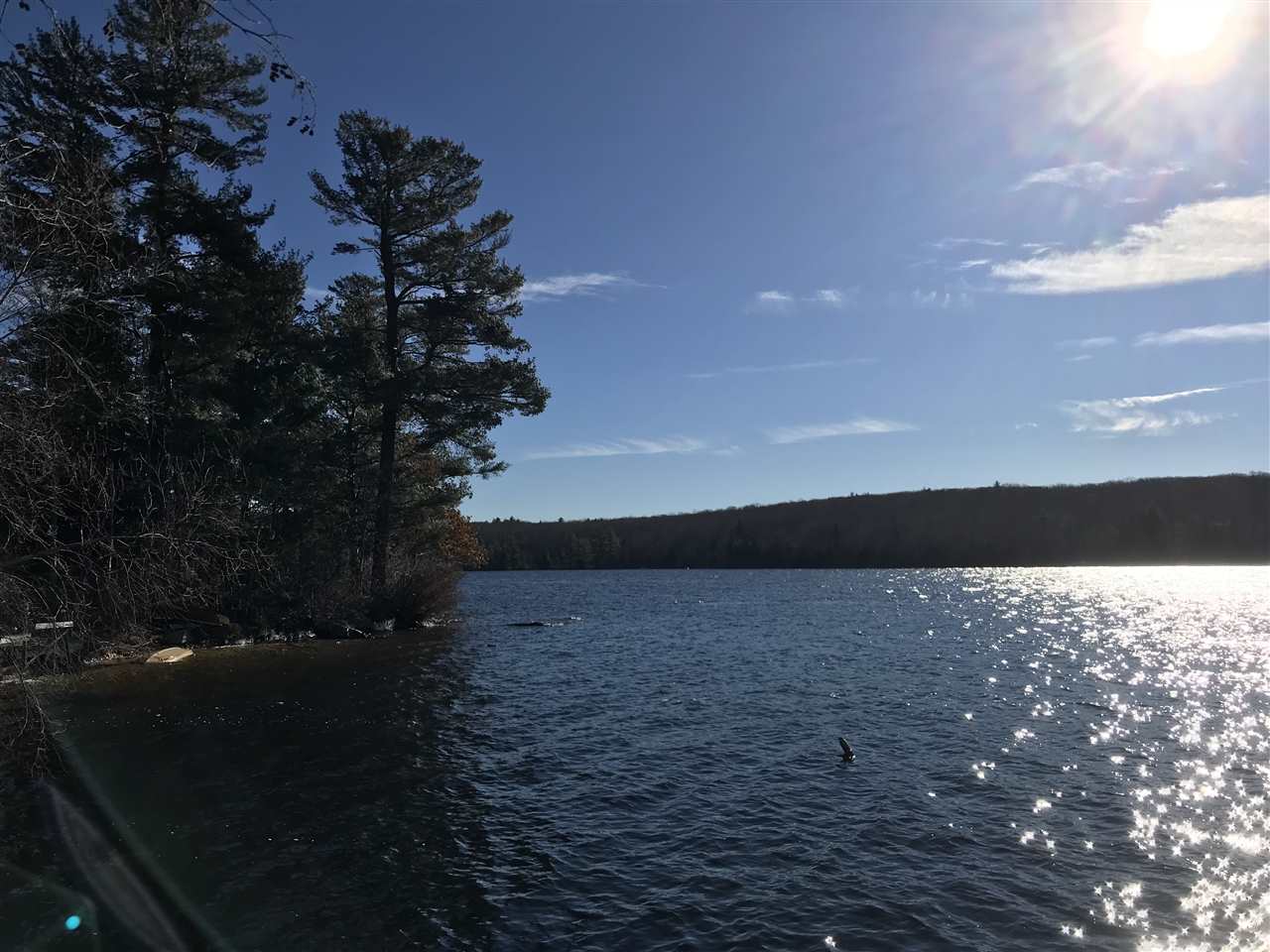 237 Hancock Road Harrisville, NH 03450 - Photo 10 of 16