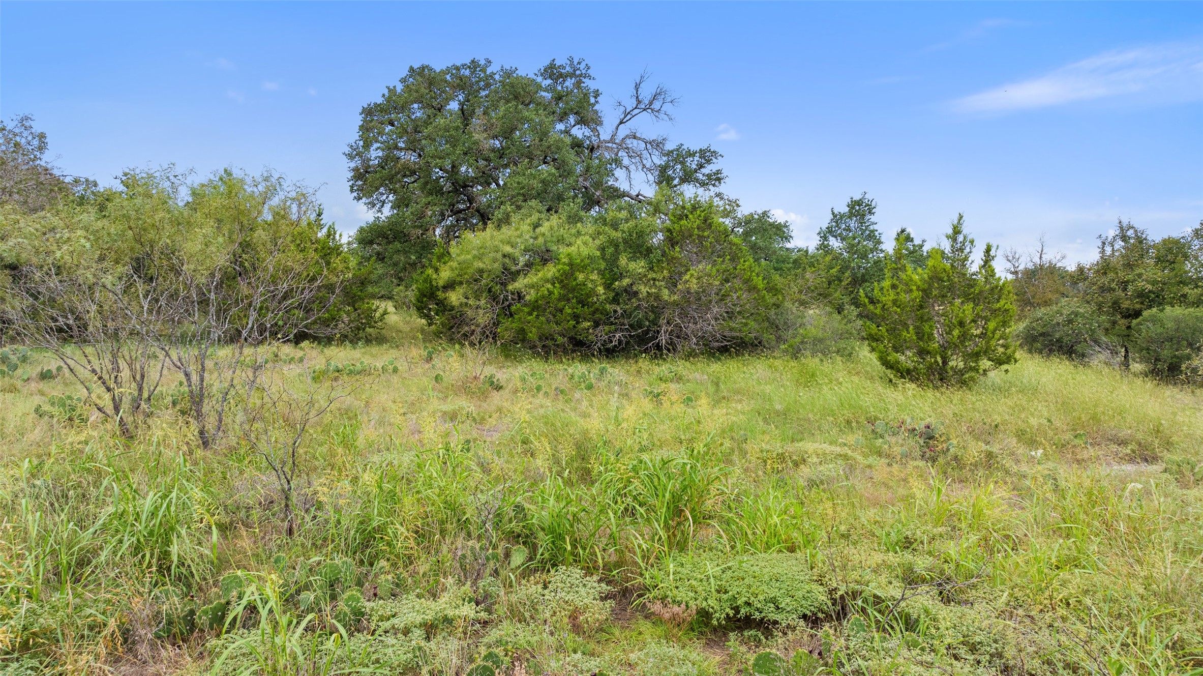 108 Cross Trail Spicewood, TX 78669 - Photo 5 of 33 A flat lot offering the ideal foundation to bring your dream home to life.