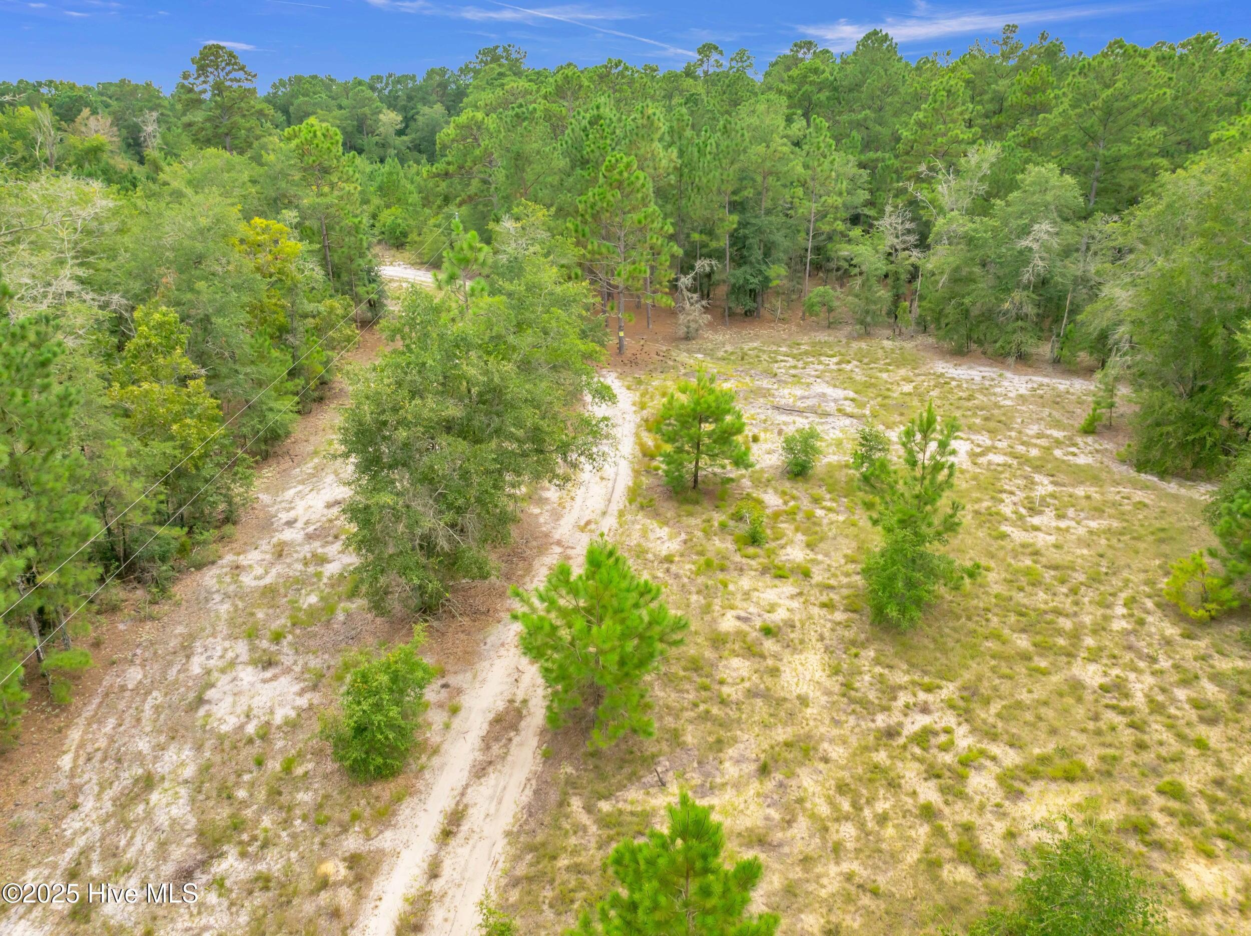 6715 Canetuck Road Currie, NC 28435 - Photo 14 of 74 6715canetuckrd_00021
