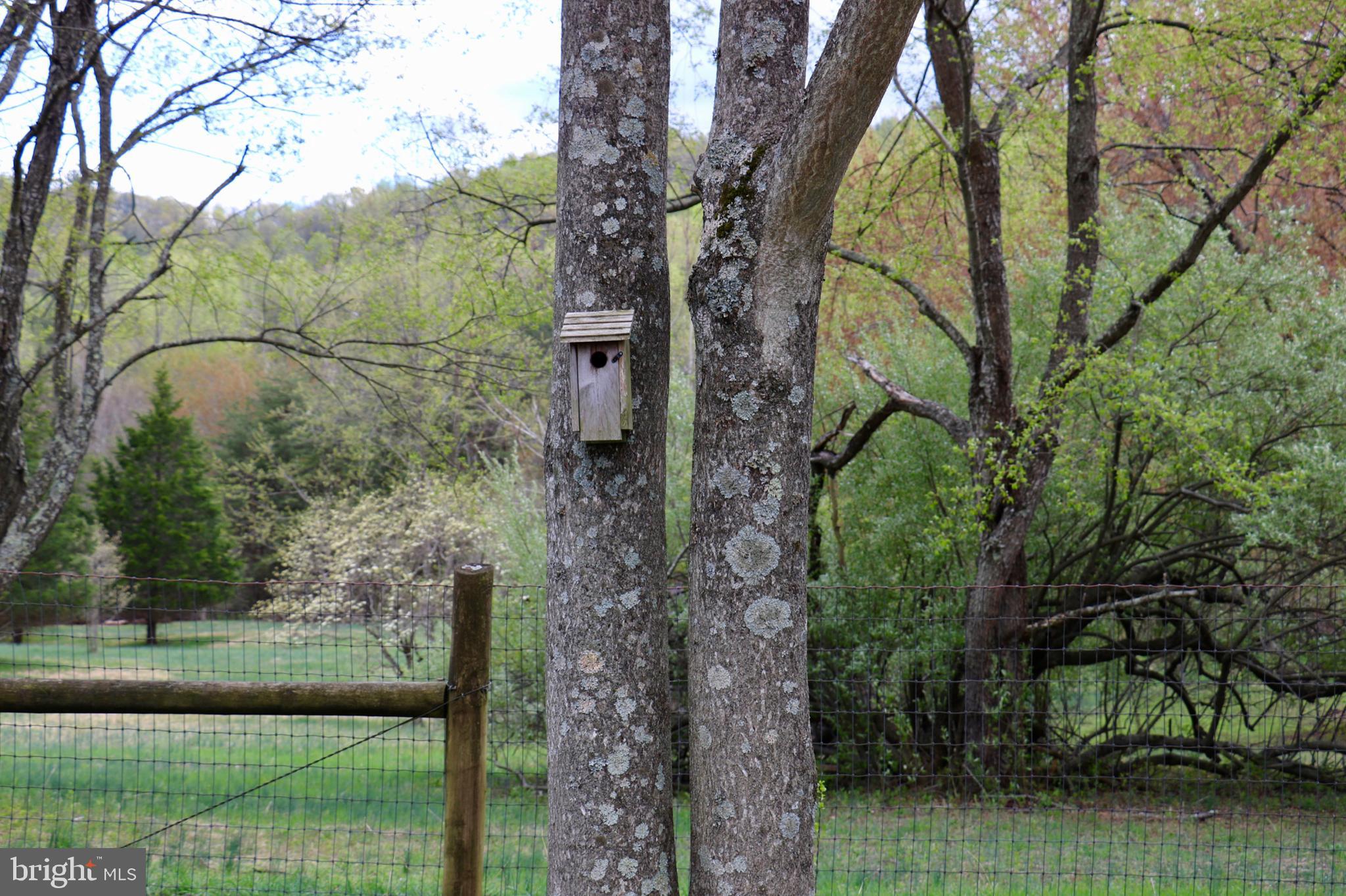 339 Whorton Hollow Road Castleton, VA 22716 - Photo 11 of 38 Gallery Image 11