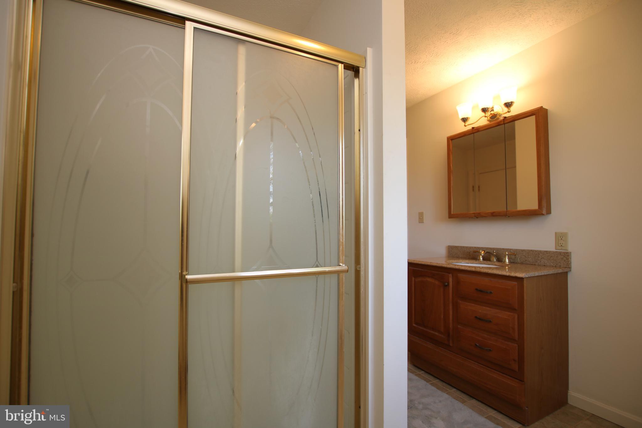 339 Whorton Hollow Road Castleton, VA 22716 - Photo 21 of 38 Master Bathroom
