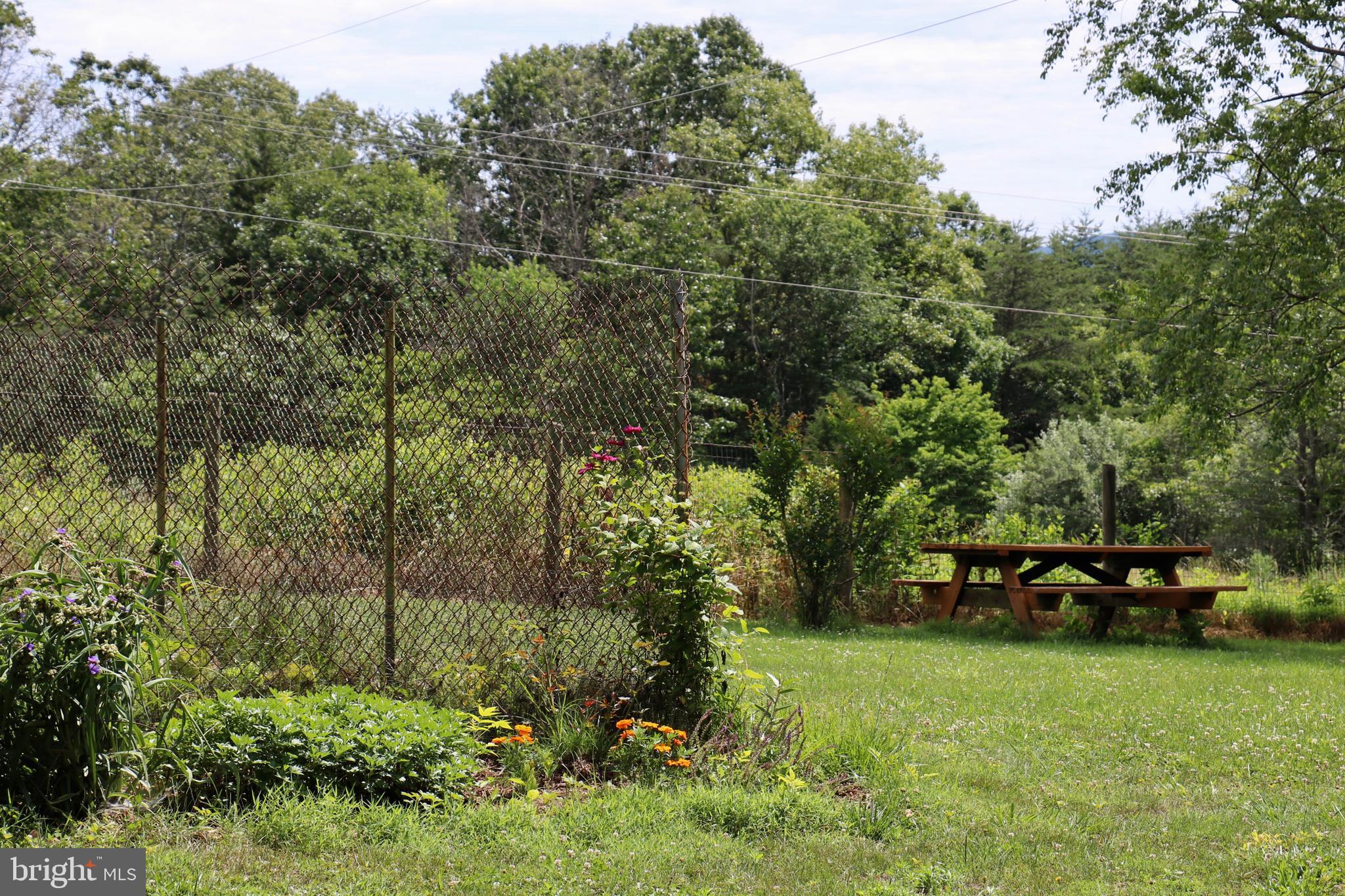 339 Whorton Hollow Road Castleton, VA 22716 - Photo 29 of 38 Gallery Image 29