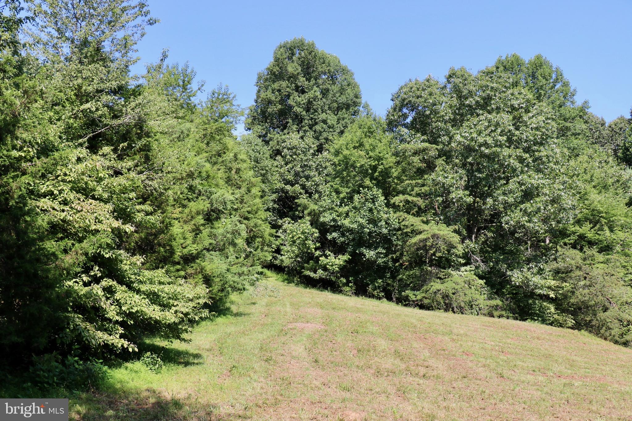 339 Whorton Hollow Road Castleton, VA 22716 - Photo 32 of 38 Gallery Image 32