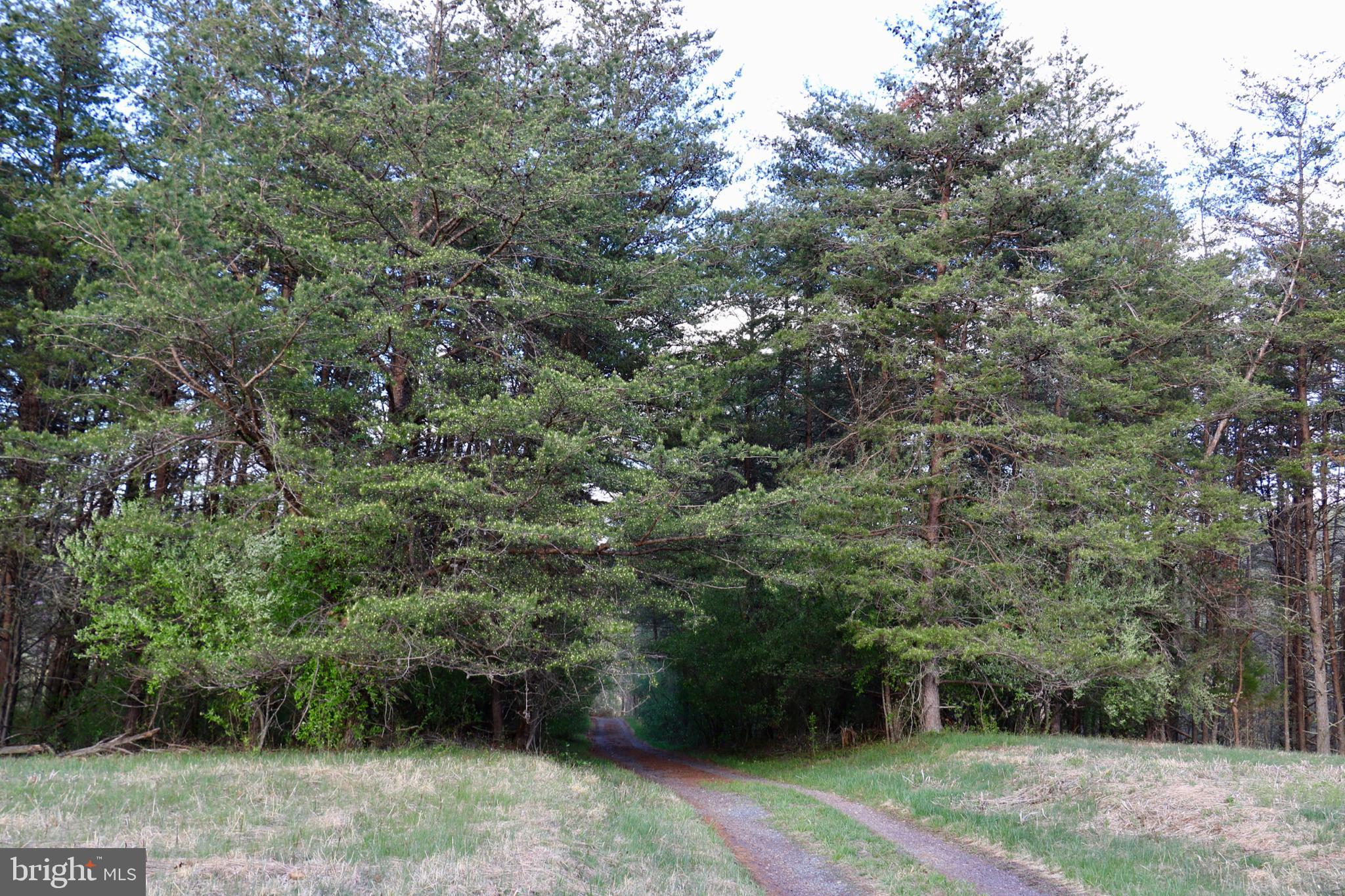339 Whorton Hollow Road Castleton, VA 22716 - Photo 33 of 38 Gallery Image 33