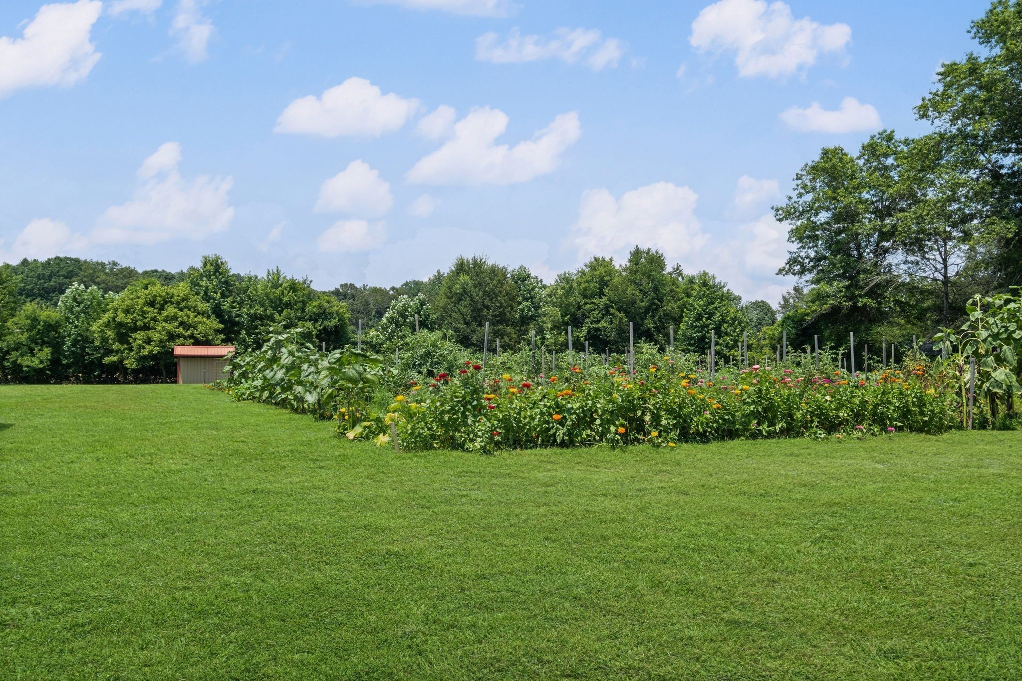 627 Ragsdale Road Manchester, TN 37355 - Photo 6 of 34