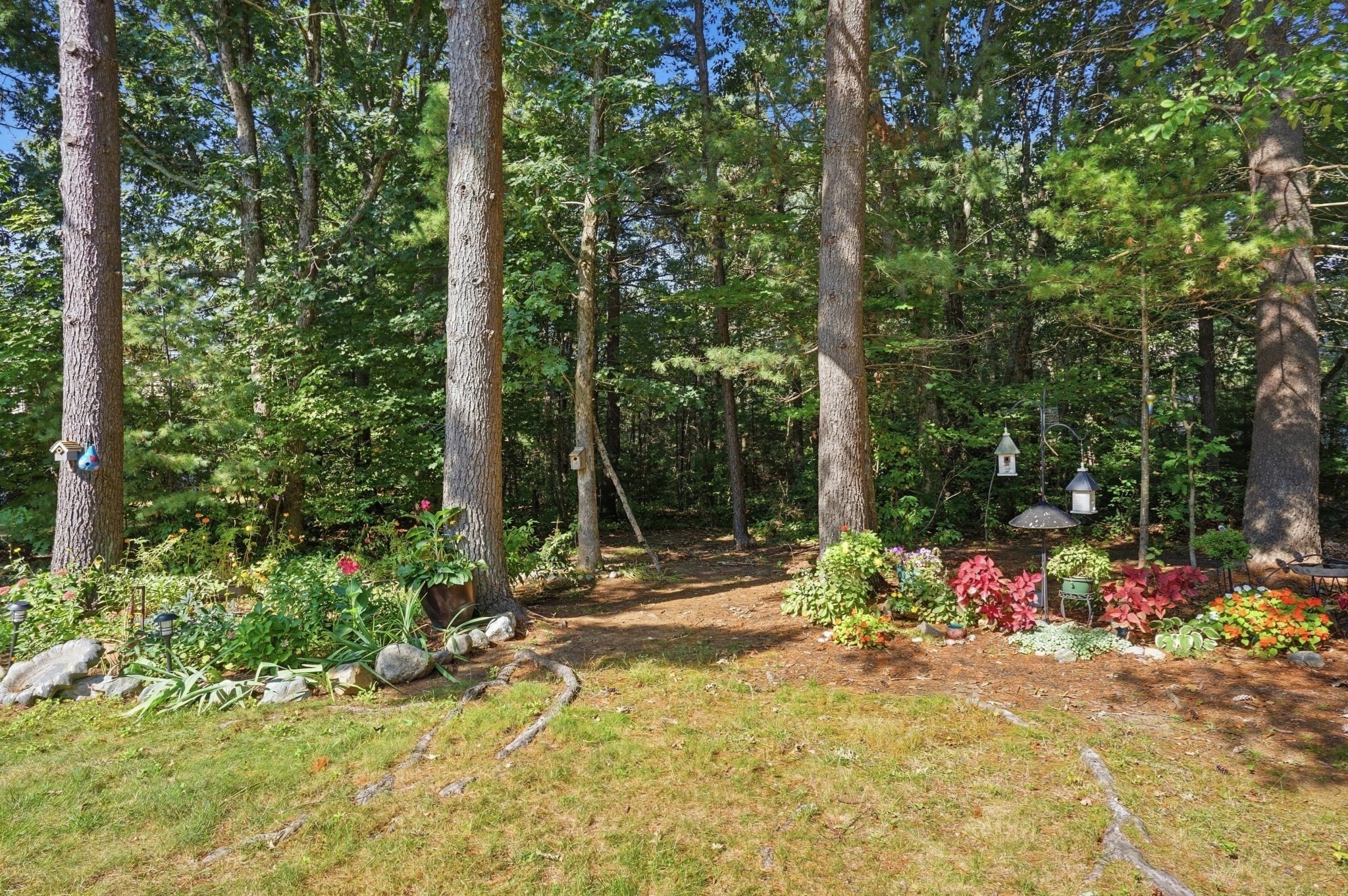 411 Maple Brook Road, Unit 411 Bellingham, MA 02019 - Photo 8 of 40 Gallery Image 8