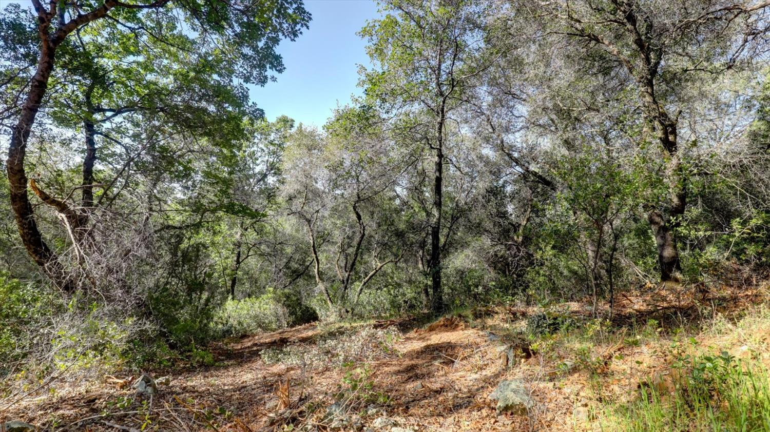 0 Southridge Road Penn Valley, CA 95946 - Photo 35 of 72