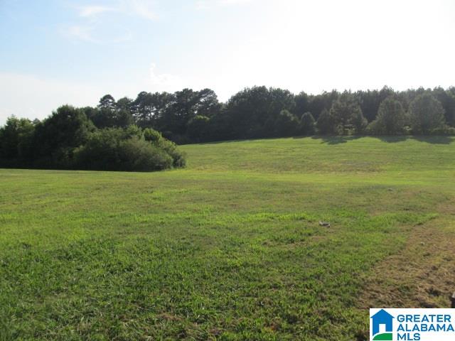 50 Deer Ridge Road Cleveland, AL 35049 - Photo 29 of 49