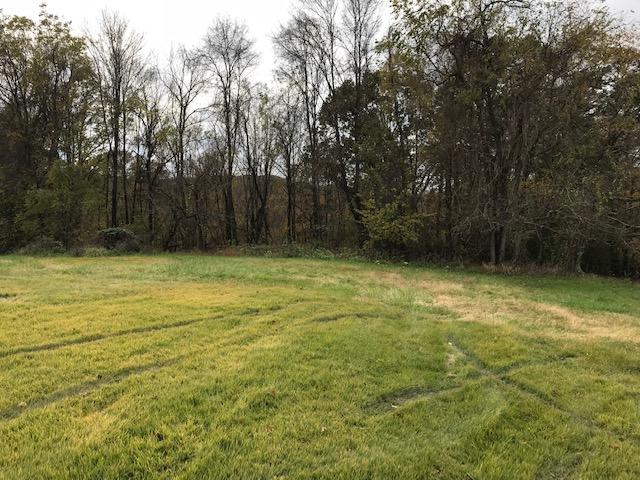 727 Stultz Road Martinsville, VA 24112 - Photo 14 of 14 IMG_3013 backyard