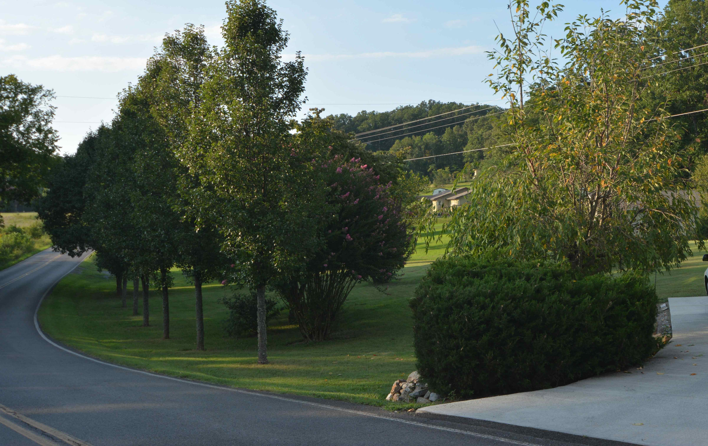1632 Sockless Road Dandridge, TN 37725 - Photo 3 of 28 MRF_0009