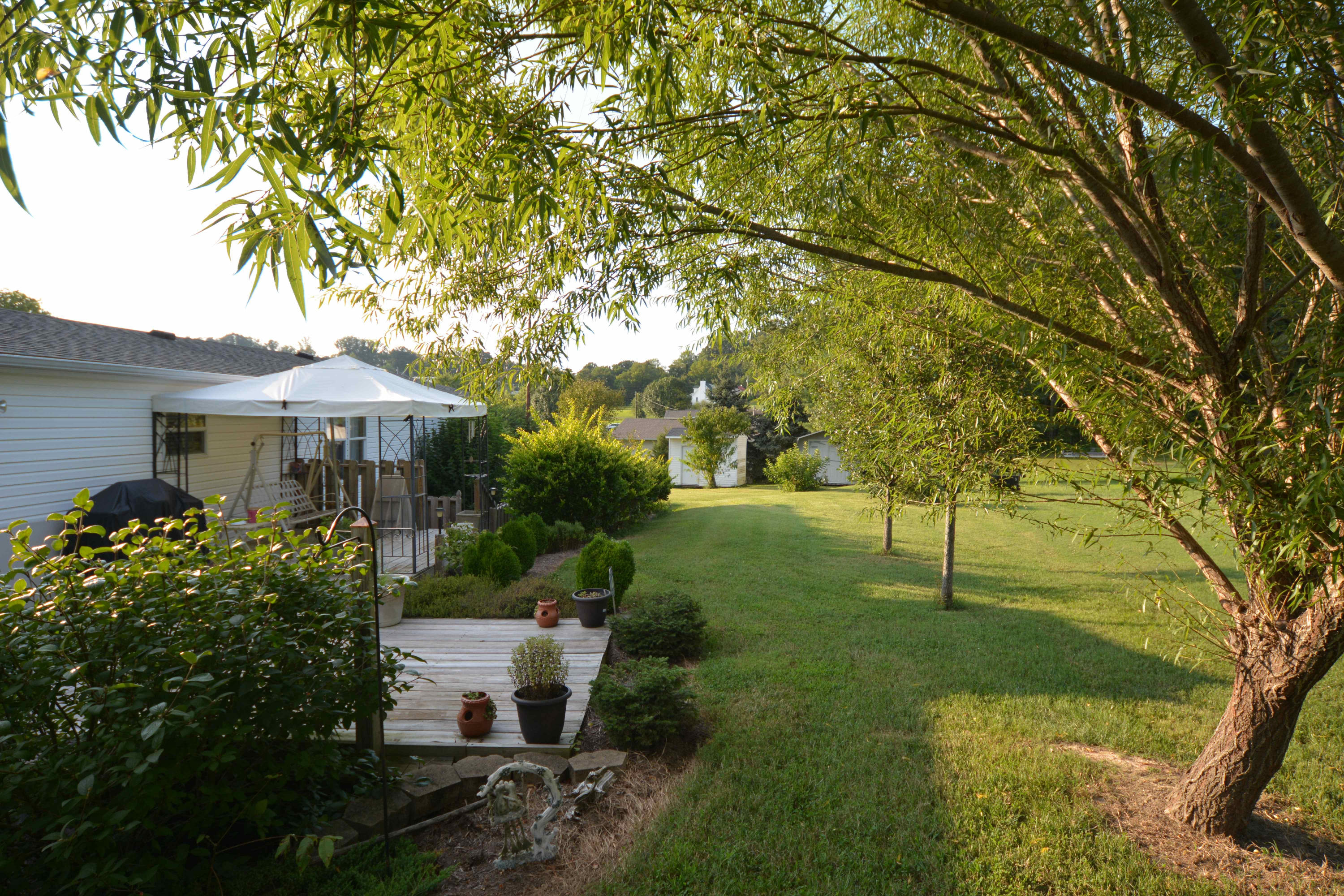 1632 Sockless Road Dandridge, TN 37725 - Photo 9 of 28 MRF_0043